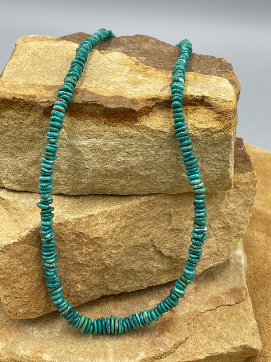 Carico Turquoise 19" Necklace
